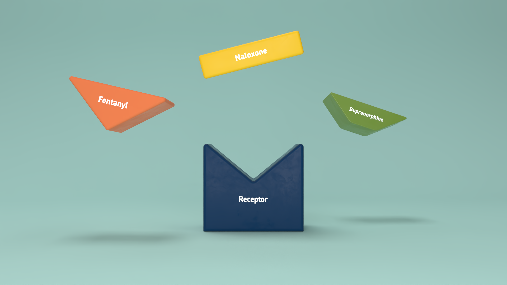 Three colorful blocks labeled 'Fentanyl,' 'Naloxone,' and 'Buprenorphine' are floating above a larger blue block labeled 'Receptor.'