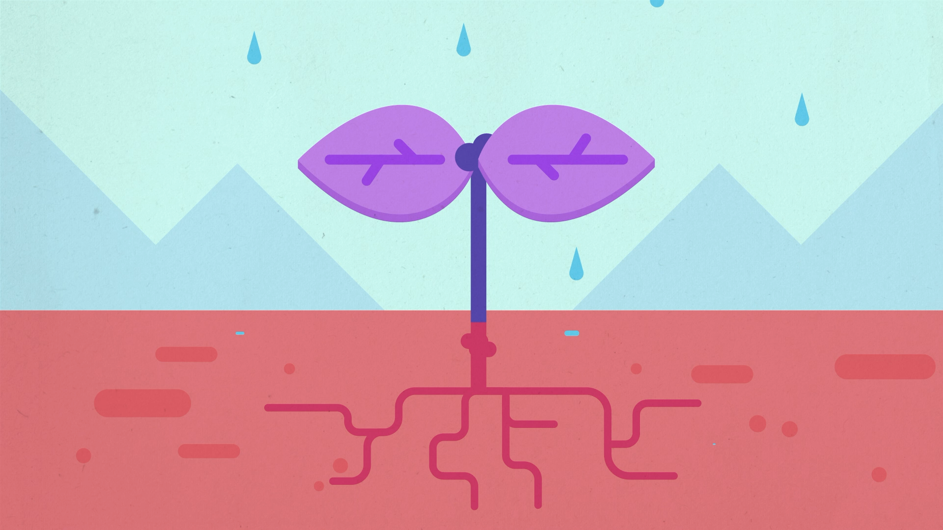 An illustration of a plant with purple leaves and a green stem, with roots extending into the soil. Rain is falling in the background.