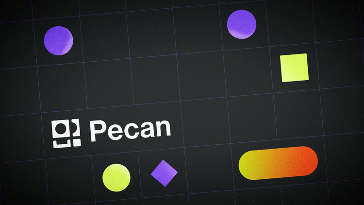 Pecan AI animation by Mippi