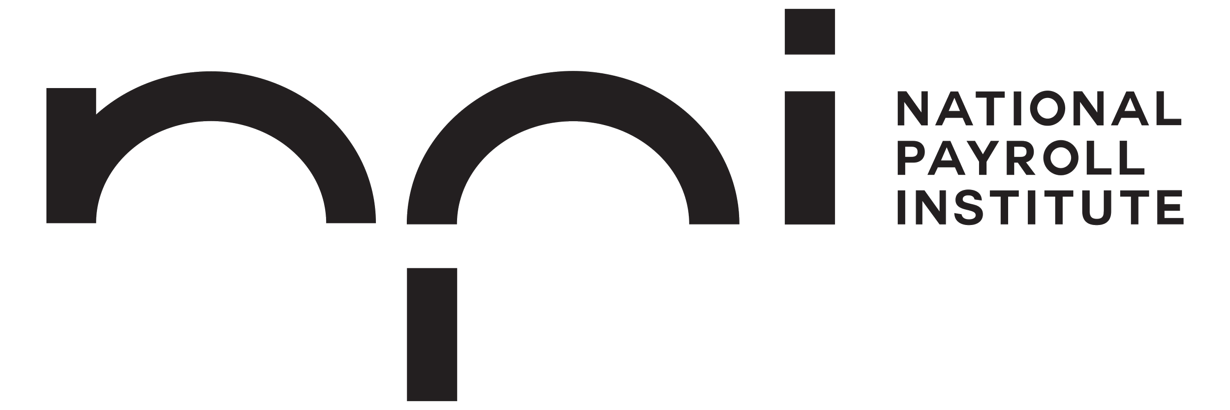 footer-logo npi.png