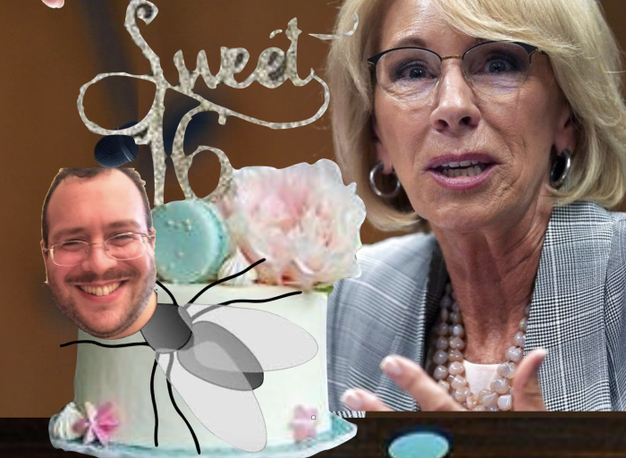 Sixteen Gadfly Articles That Made Betsy DeVos Itch in 2019  by Steven Singer