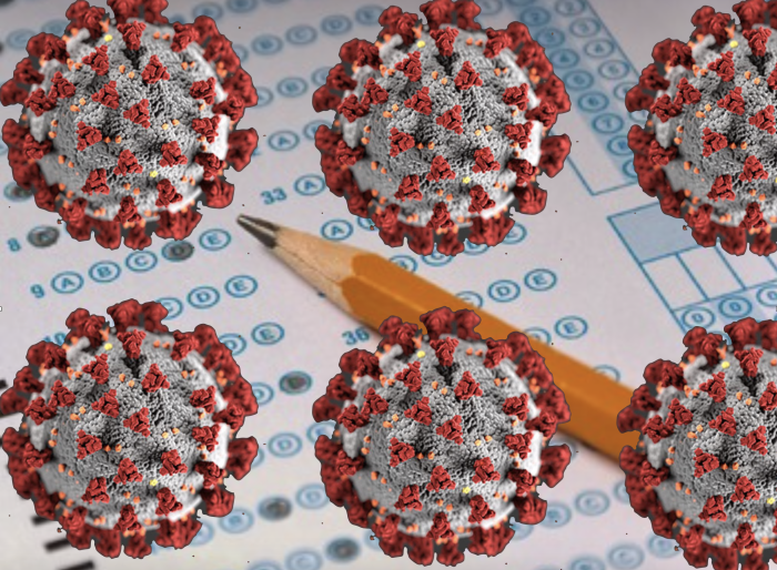 Public Schools Can Recover from the COVID-19 Quarantine by Skipping High Stakes Tests by Steven Singer