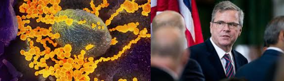 The Coronabushaccountability Virus by Grumpy Old teacher