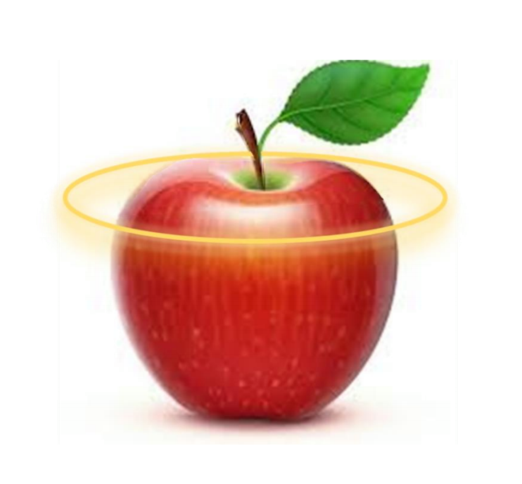 Why Rebranding Teachers Will Save Lives by Christine Vaccaro