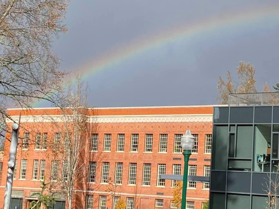 The Silver Lining: A Chance to Transform Schooling  by Deanna Chappell