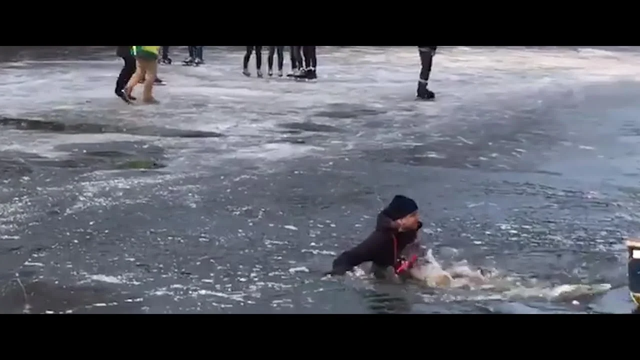 Is It the Winter Break or the Crack-Up? by Grumpy Old Teacher