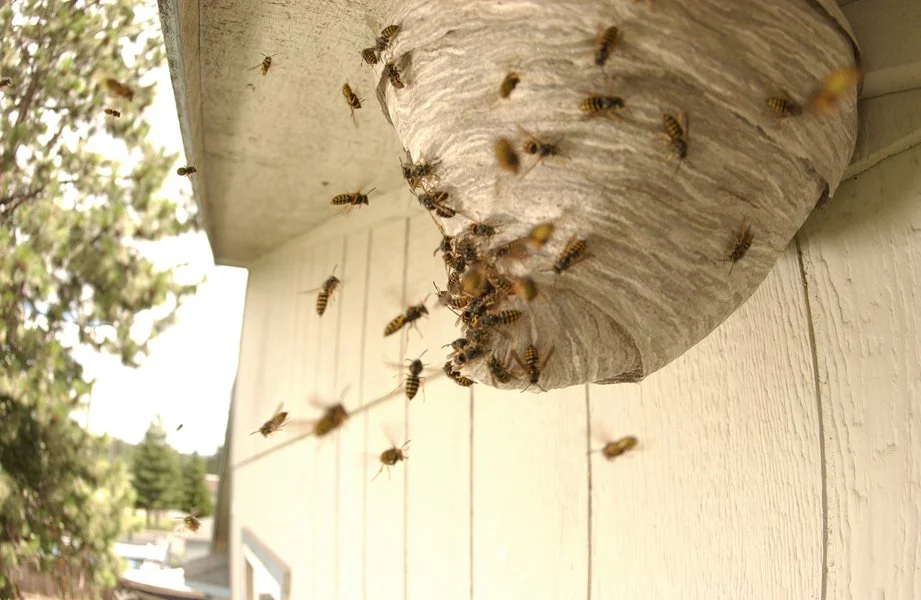 How the Word is Passed by Grumpy Old Teacher