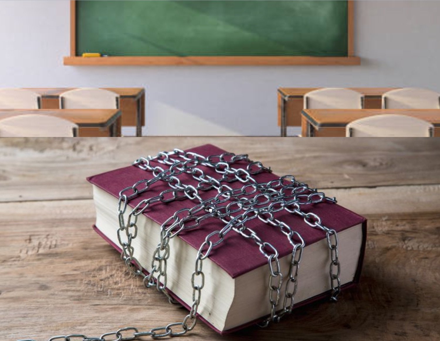 I Teach Banned Books by Steven Singer