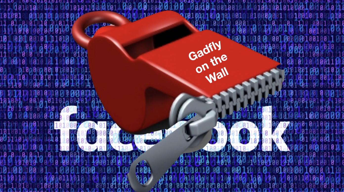 'Silencing School Whistleblowers Through Social Media ' by Steven Singer 