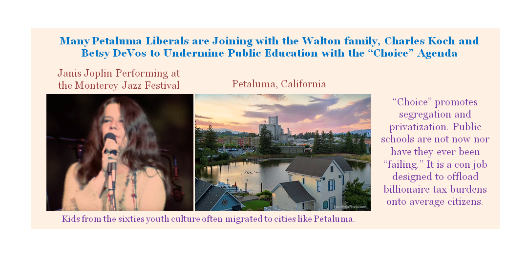 'Petaluma Charter School Lessons' by Thomas Ultican 