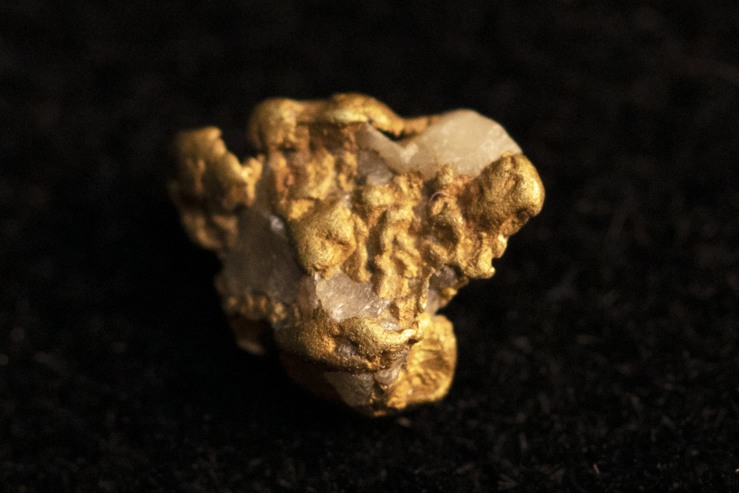 Gold Panning Kit — Klesh Gold Paydirt