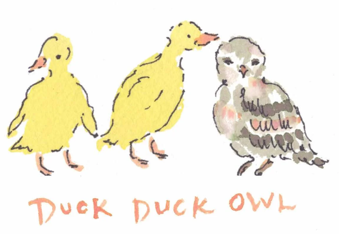 Duck Duck Owl