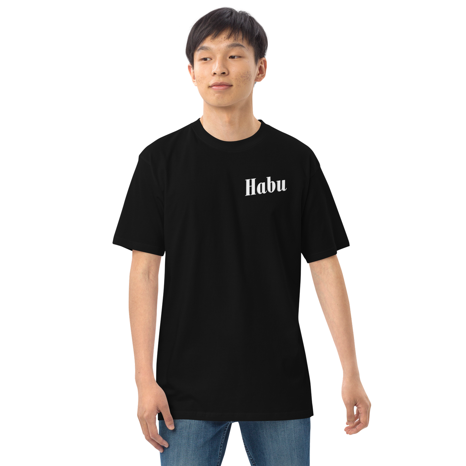 Limited Edition Lockheed SR-71 Blackbird 