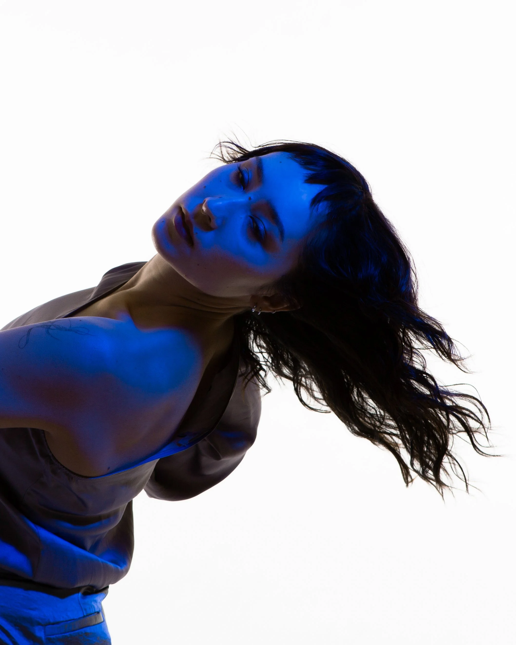 Photo by Alicia Steeves