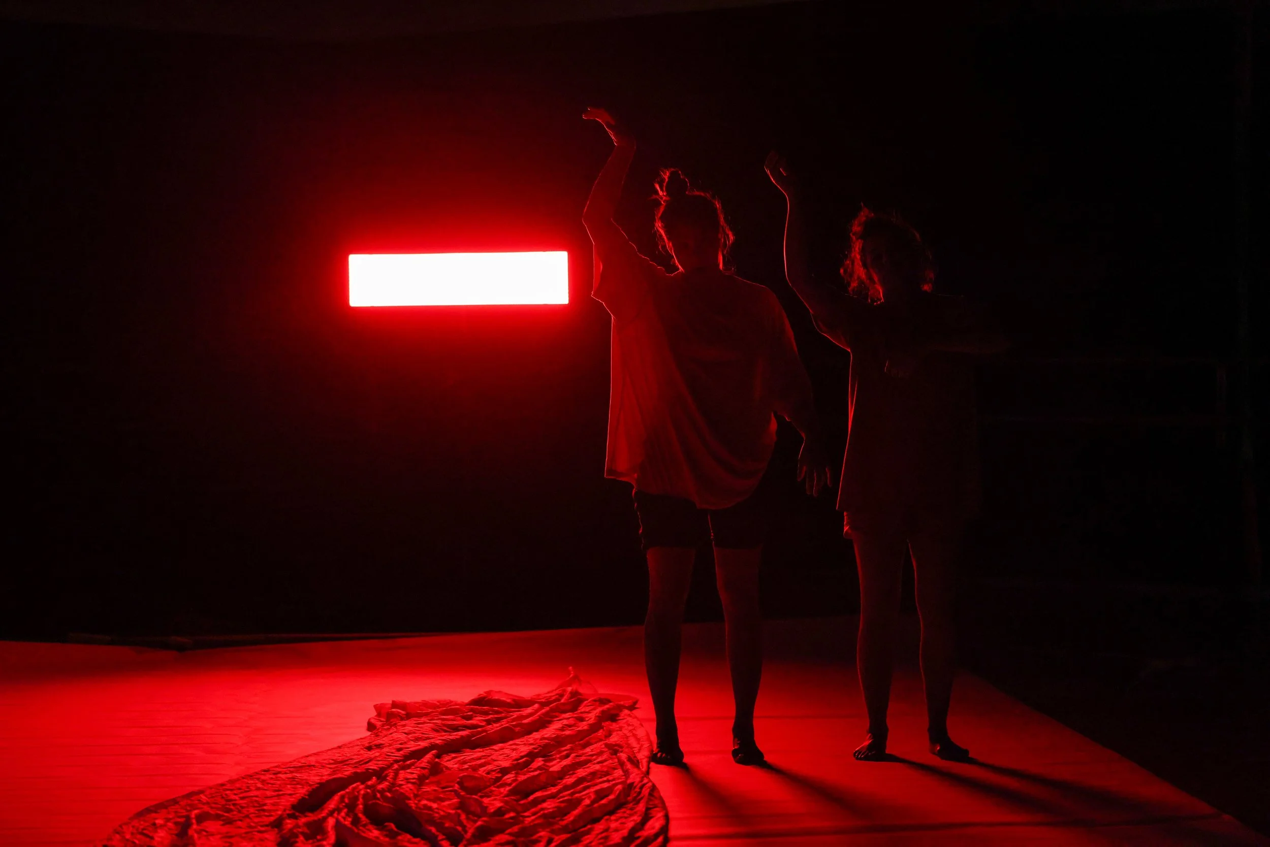 A saturated red photograph of two silhouetted figures standing next to one another with one arm raised and heads slightly tilted.