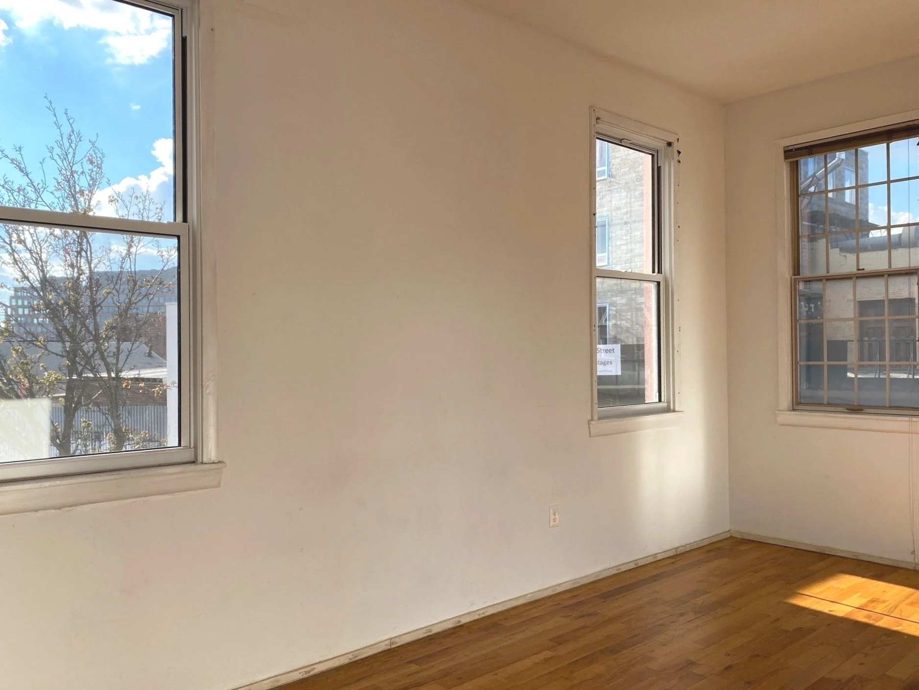 lillian studio 2.jpg