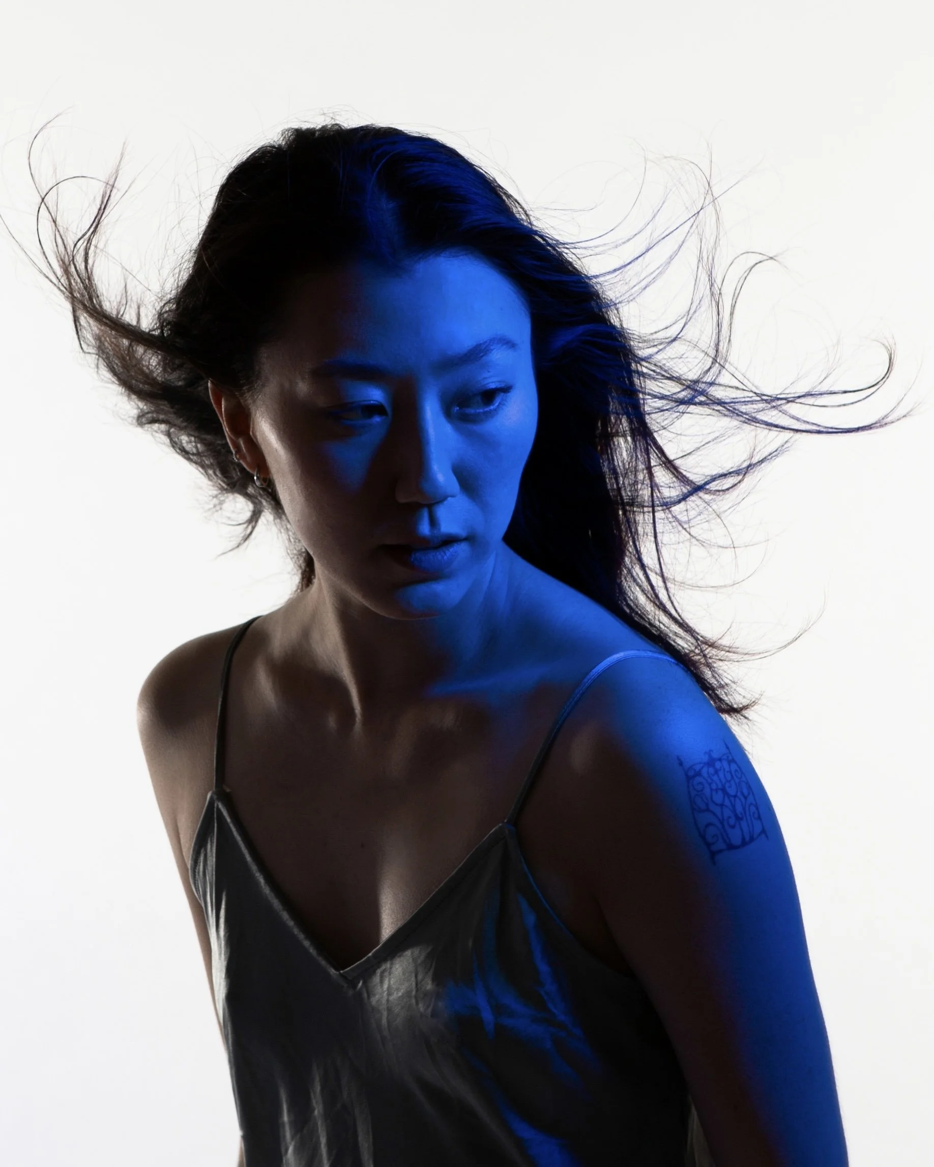 Photo by Alicia Steeves