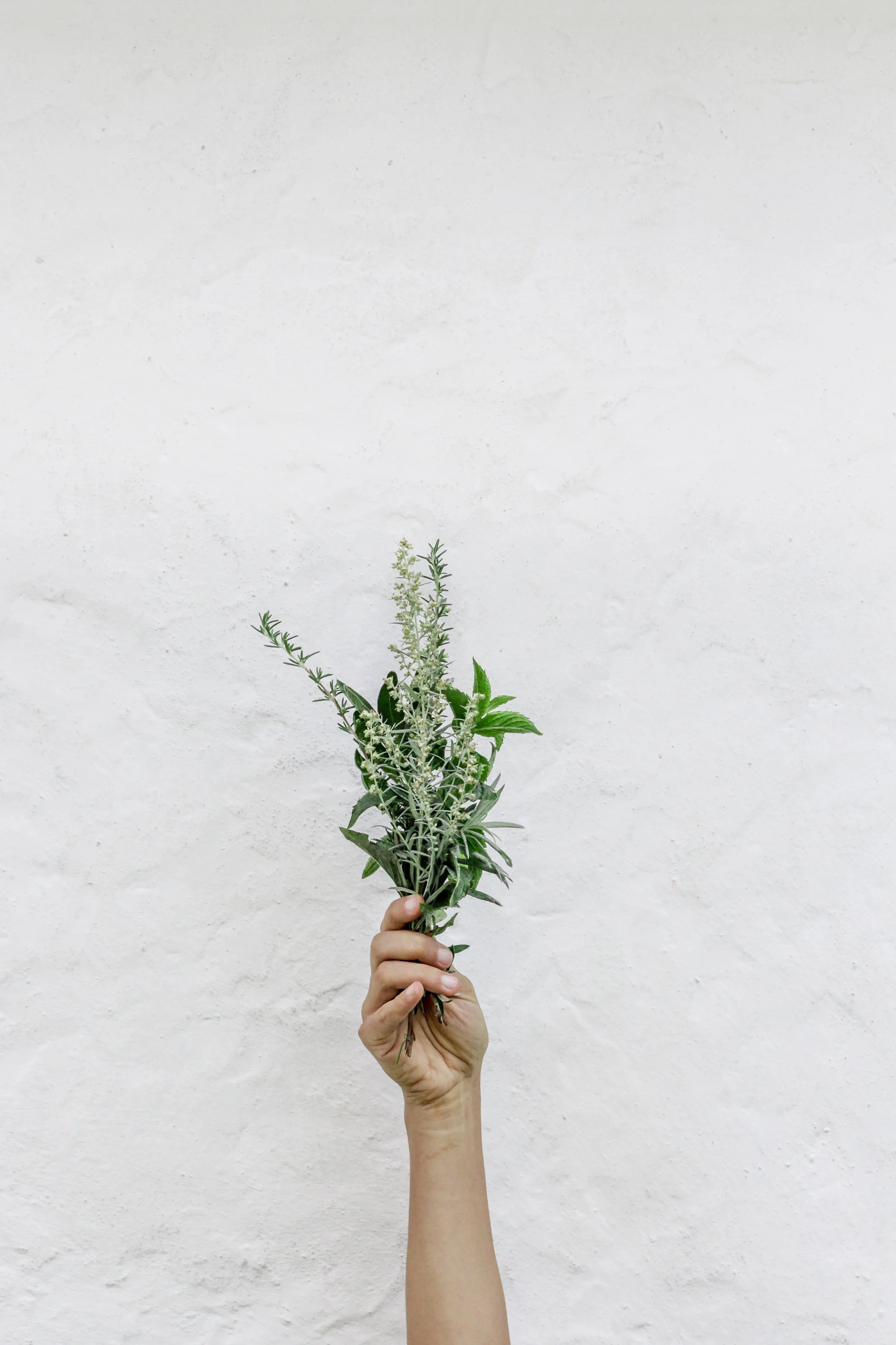 nordwood-themes-FnOoRU-PYio-unsplash (1).jpg