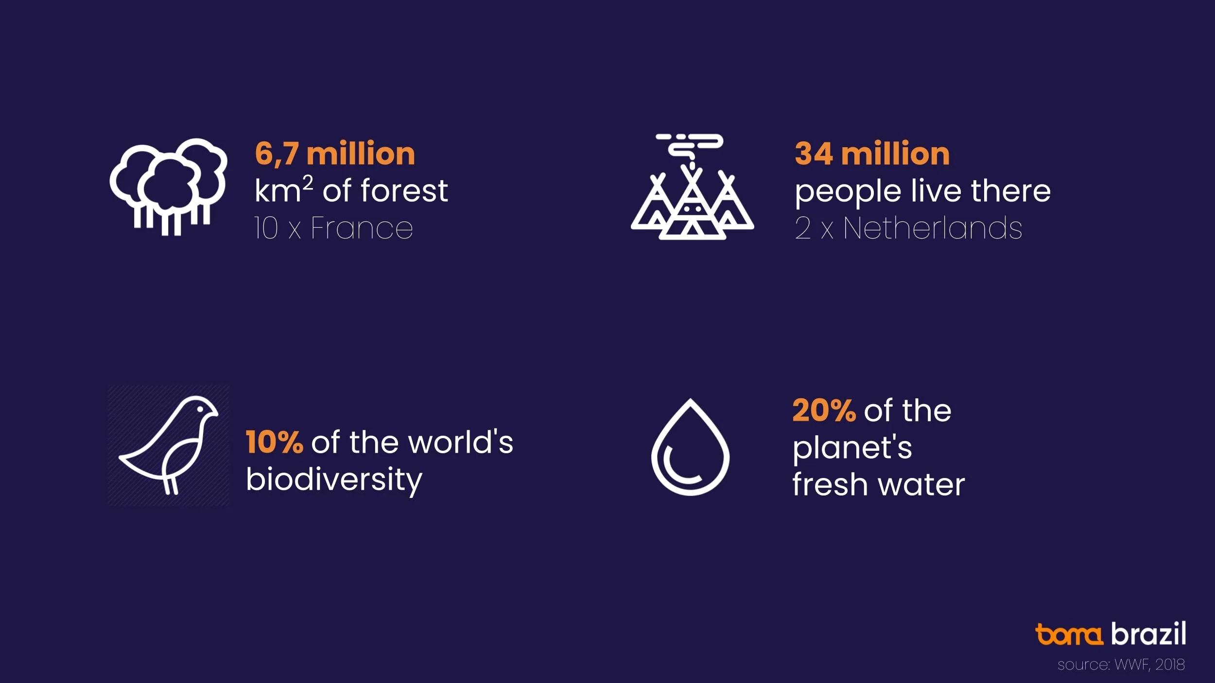 BomaBrazilSummit-Amazon Full version (3).jpg