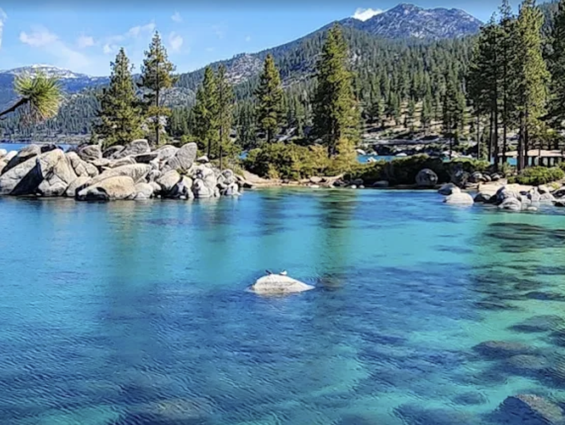 Screenshot 2026-03-13 at 11.08.04 AM.png