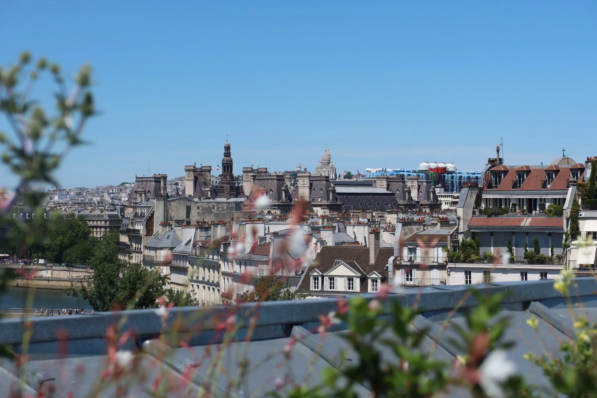 Sacré-Cœur and centre pompidou with pink flowers and view of the seine