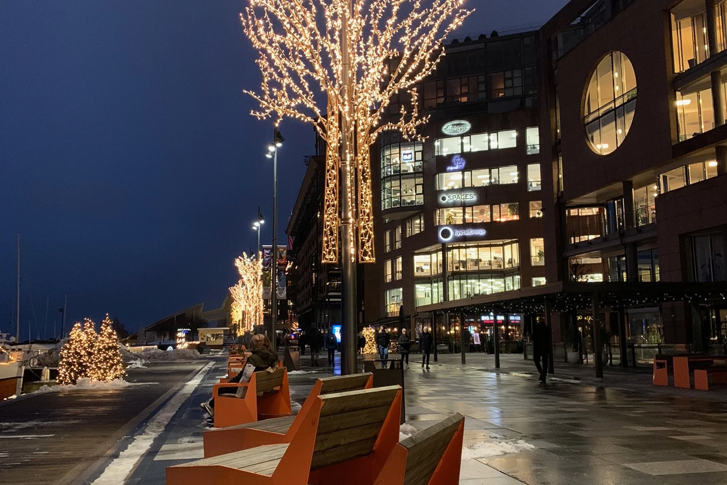 waterfront with lit up trees at night and shopping