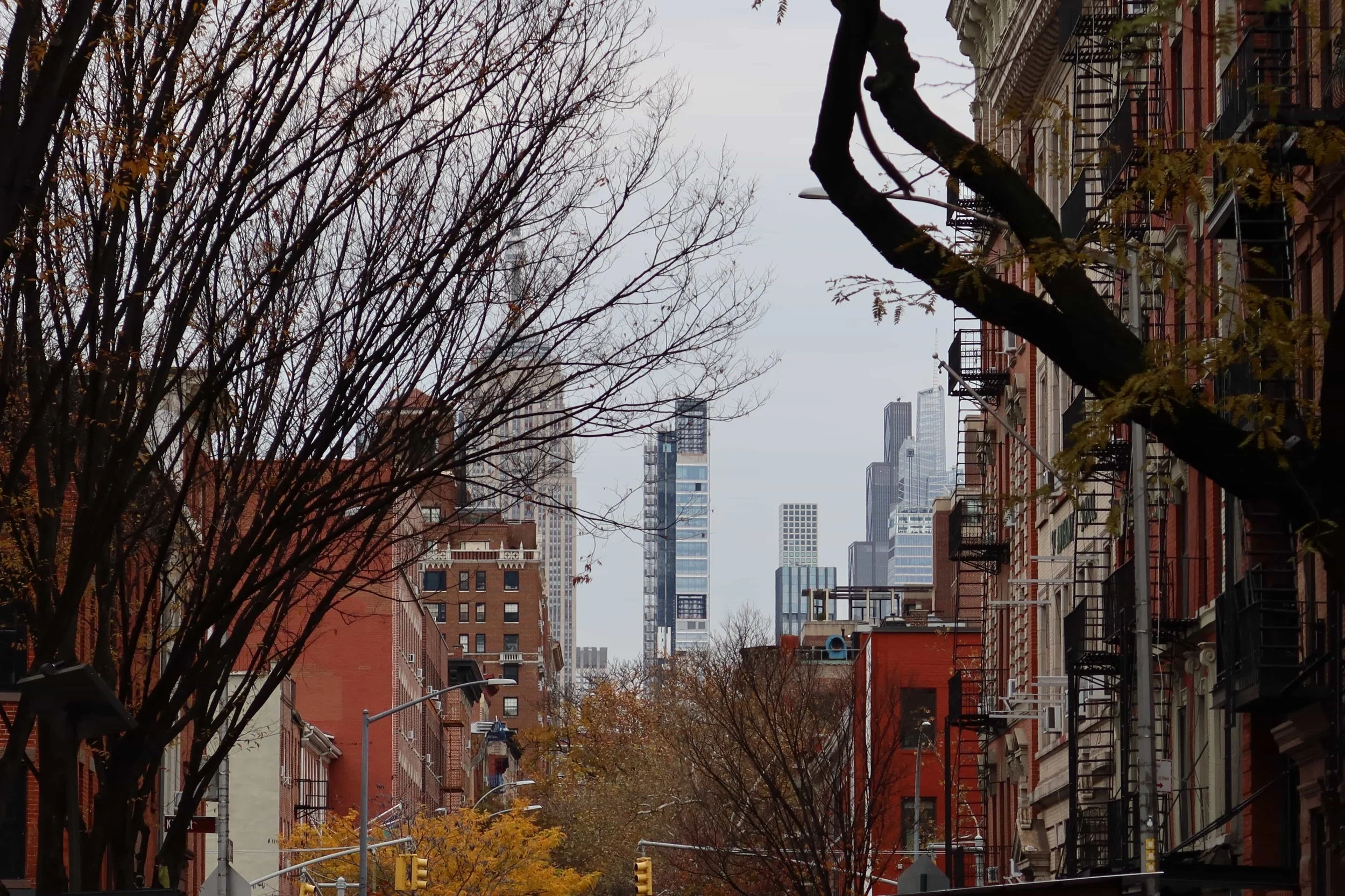 empire state building and leaves falling nyc