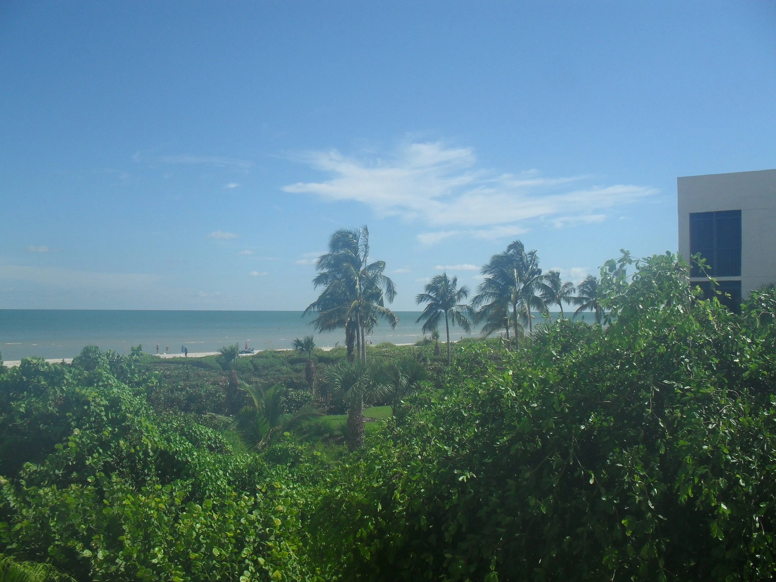 Sanibel is a quiet, relaxing, family friendly island in Florida.