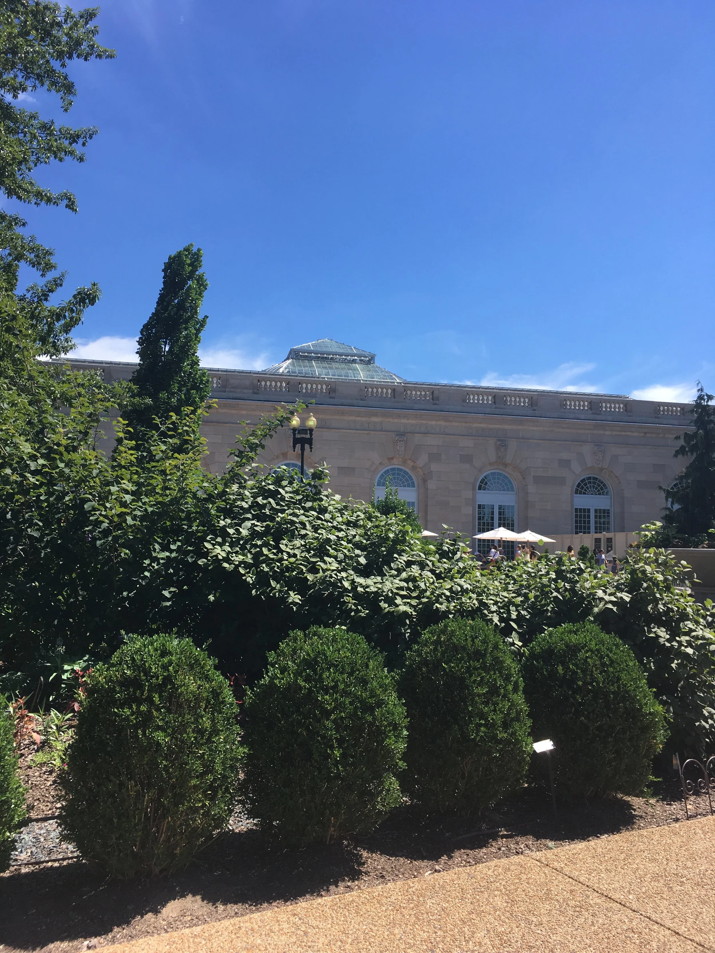 Outside the United States Botanical Gardens; June 2018