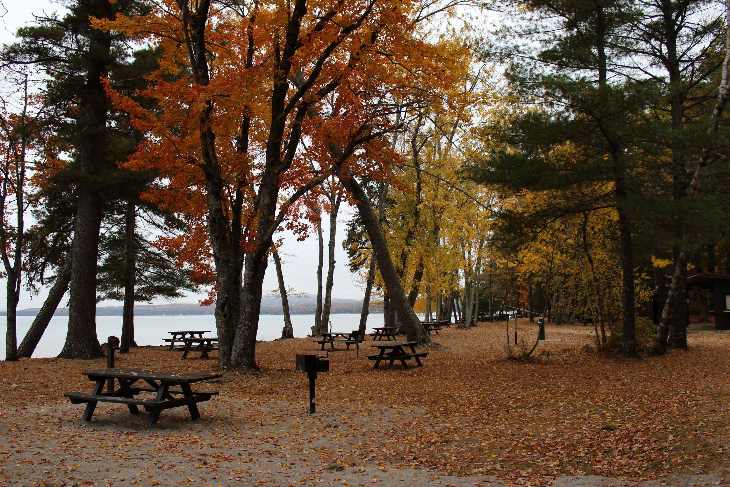 Walking through the picnic areas near Sebago Lake; October 2016