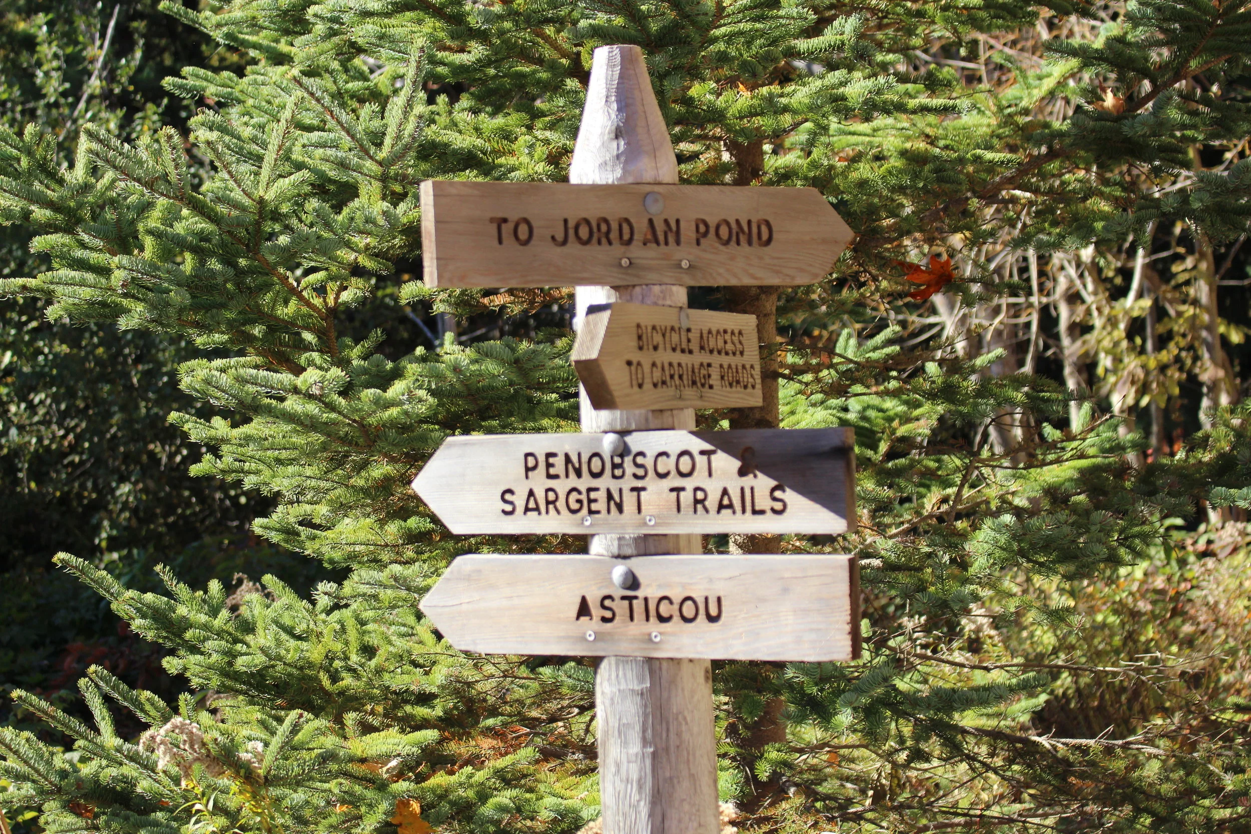 Sign towards Jordan Pond at Acadia National Park