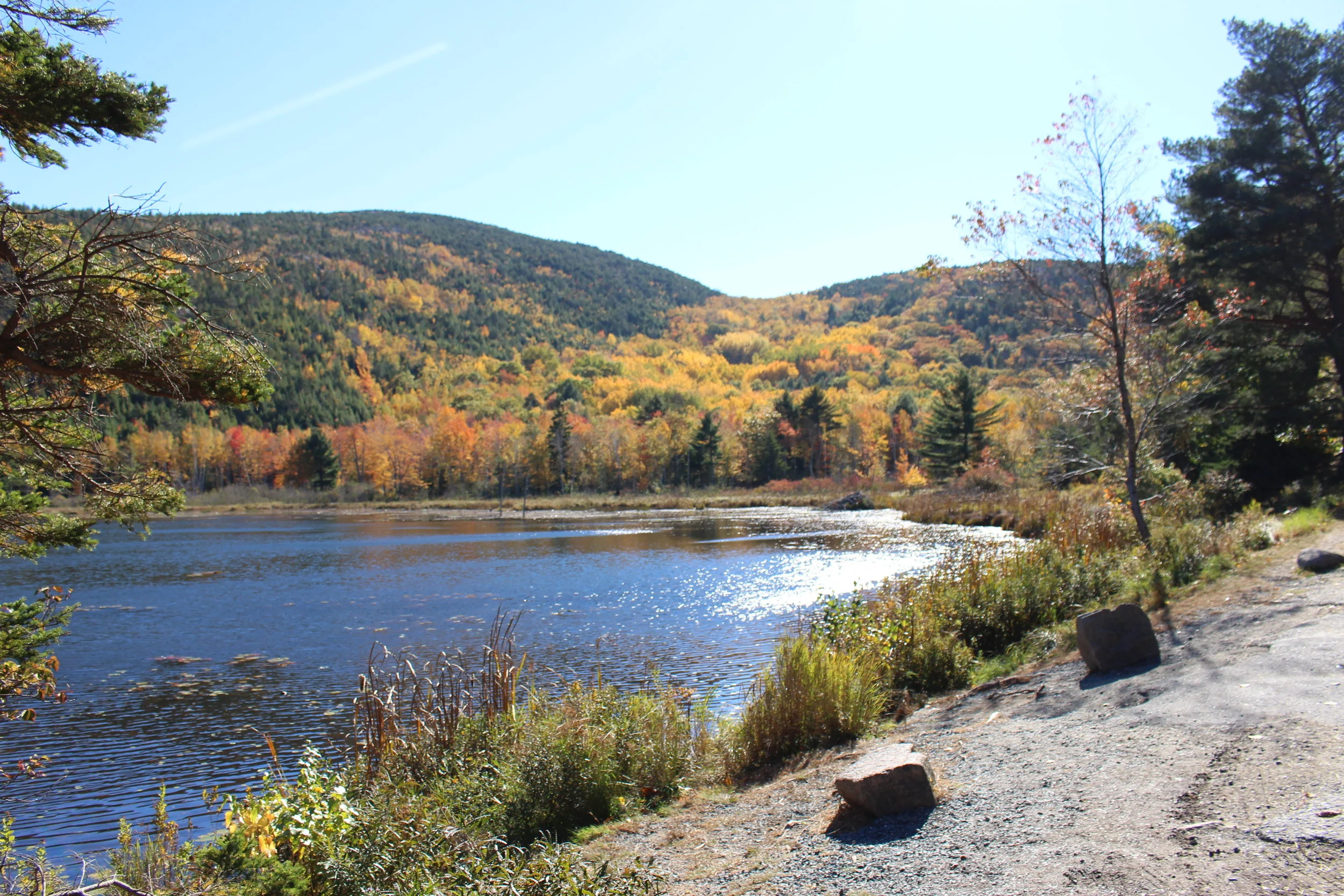 Acadia Nation Park; October 2016