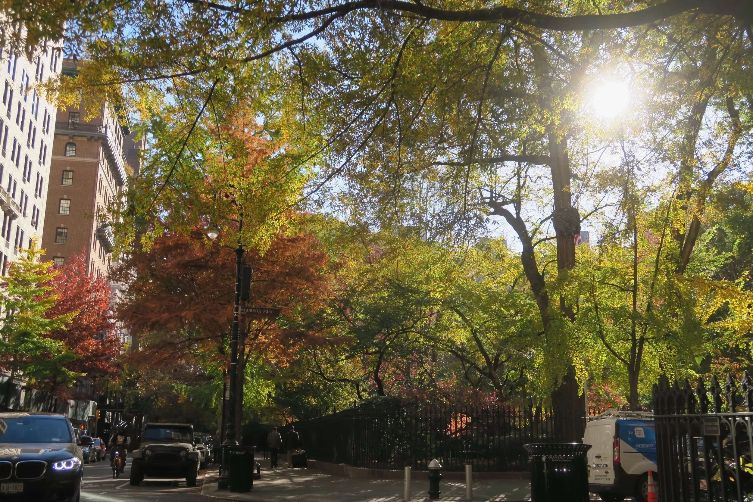 parade of colors in quiet park in the middle of new york city cars and bikers