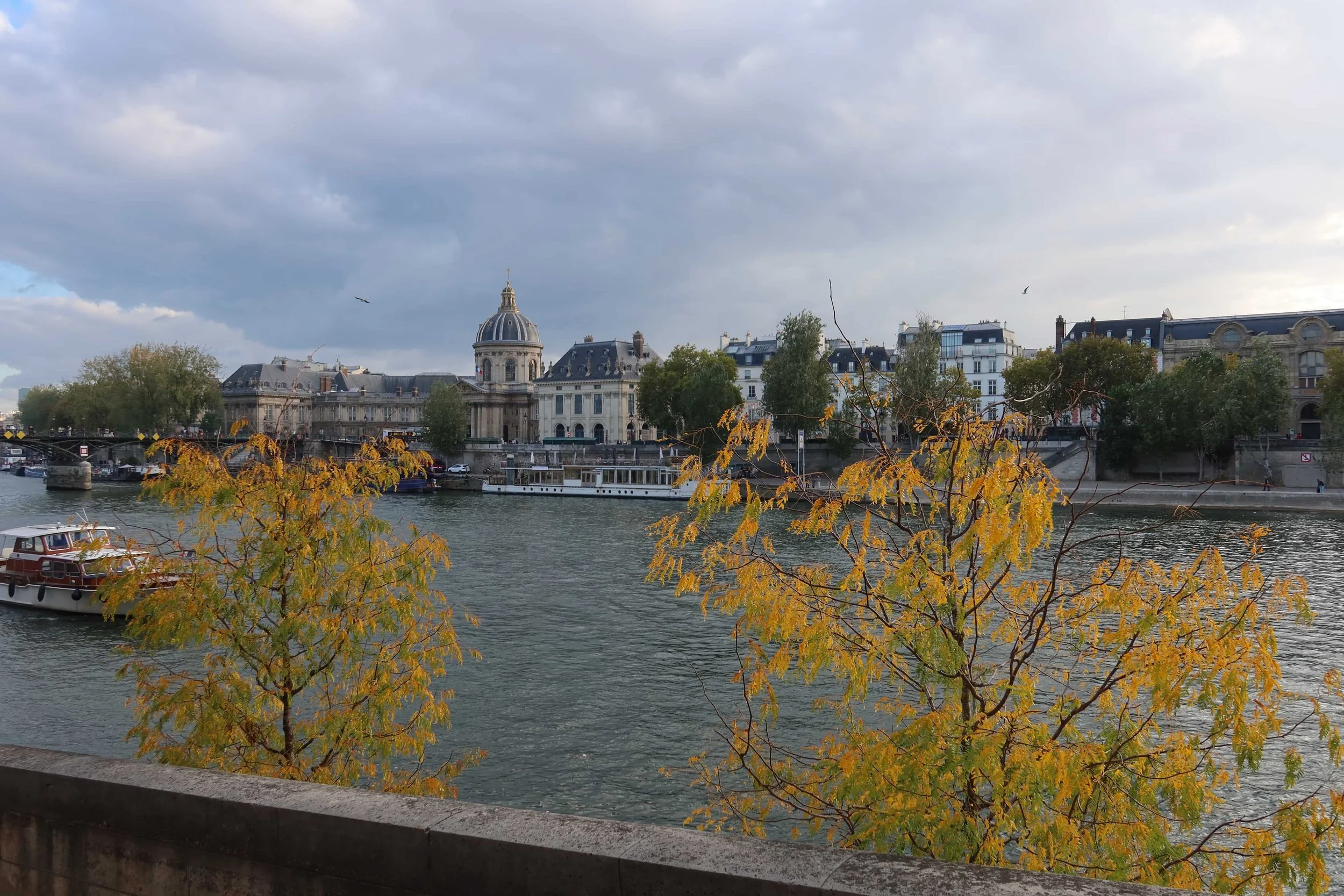 seine paris yellow trees