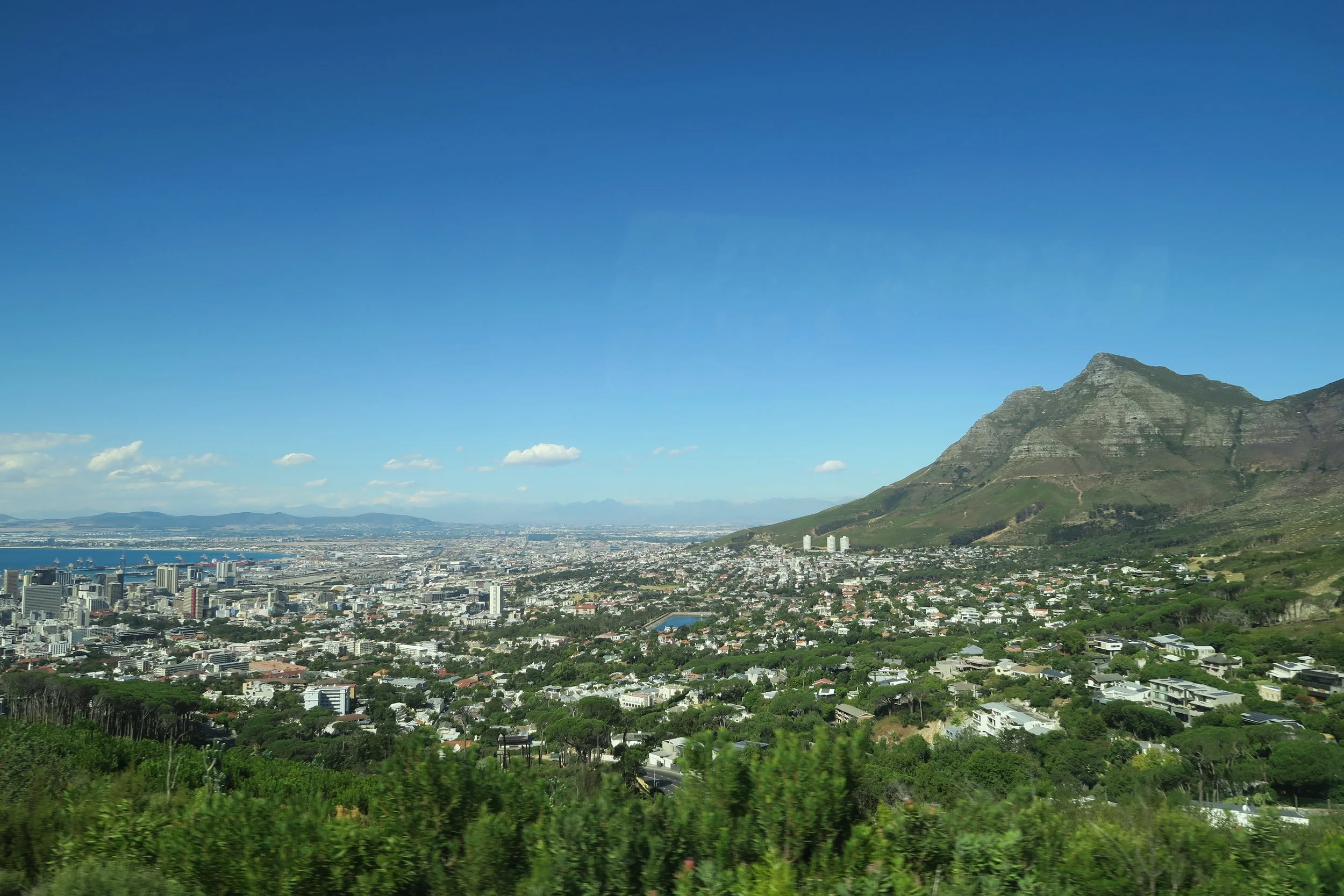 Top 10 Things to Do in Cape Town