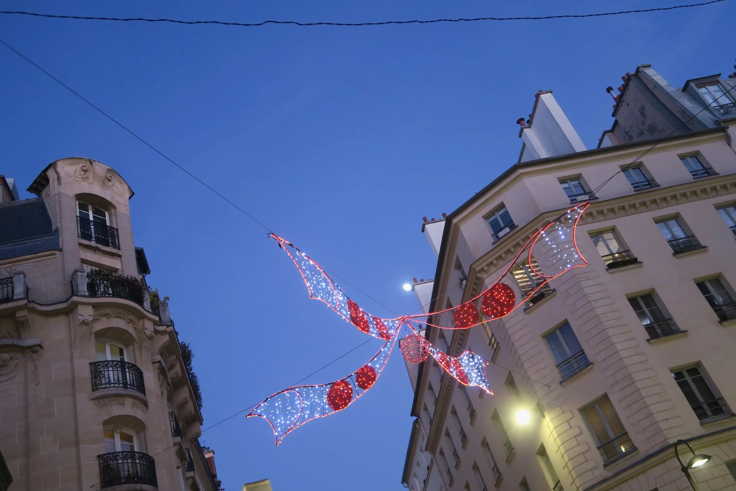 15 Best Things to Do in Paris During Christmas