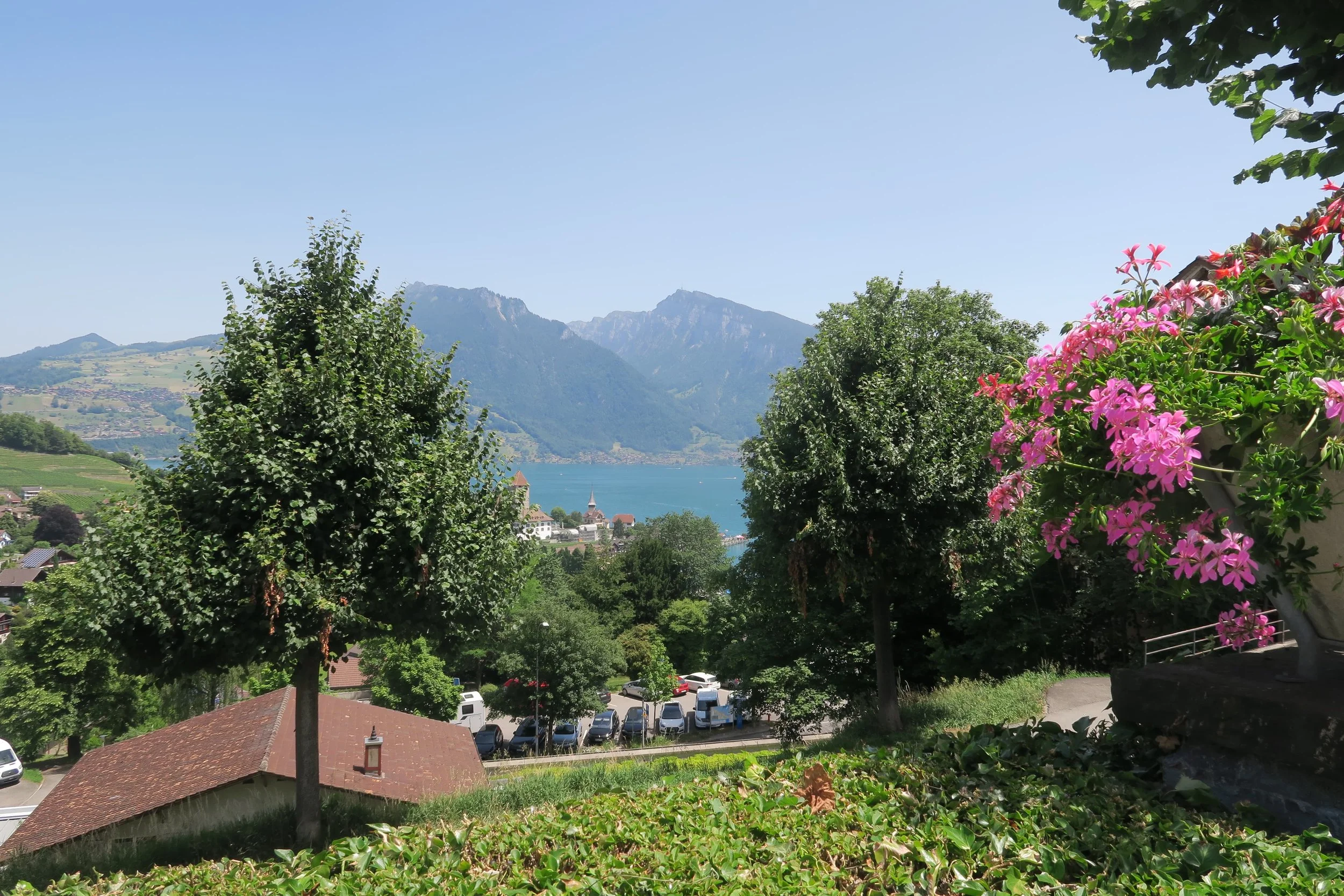 Where Is The Best Place to Stay in the Swiss Alps?