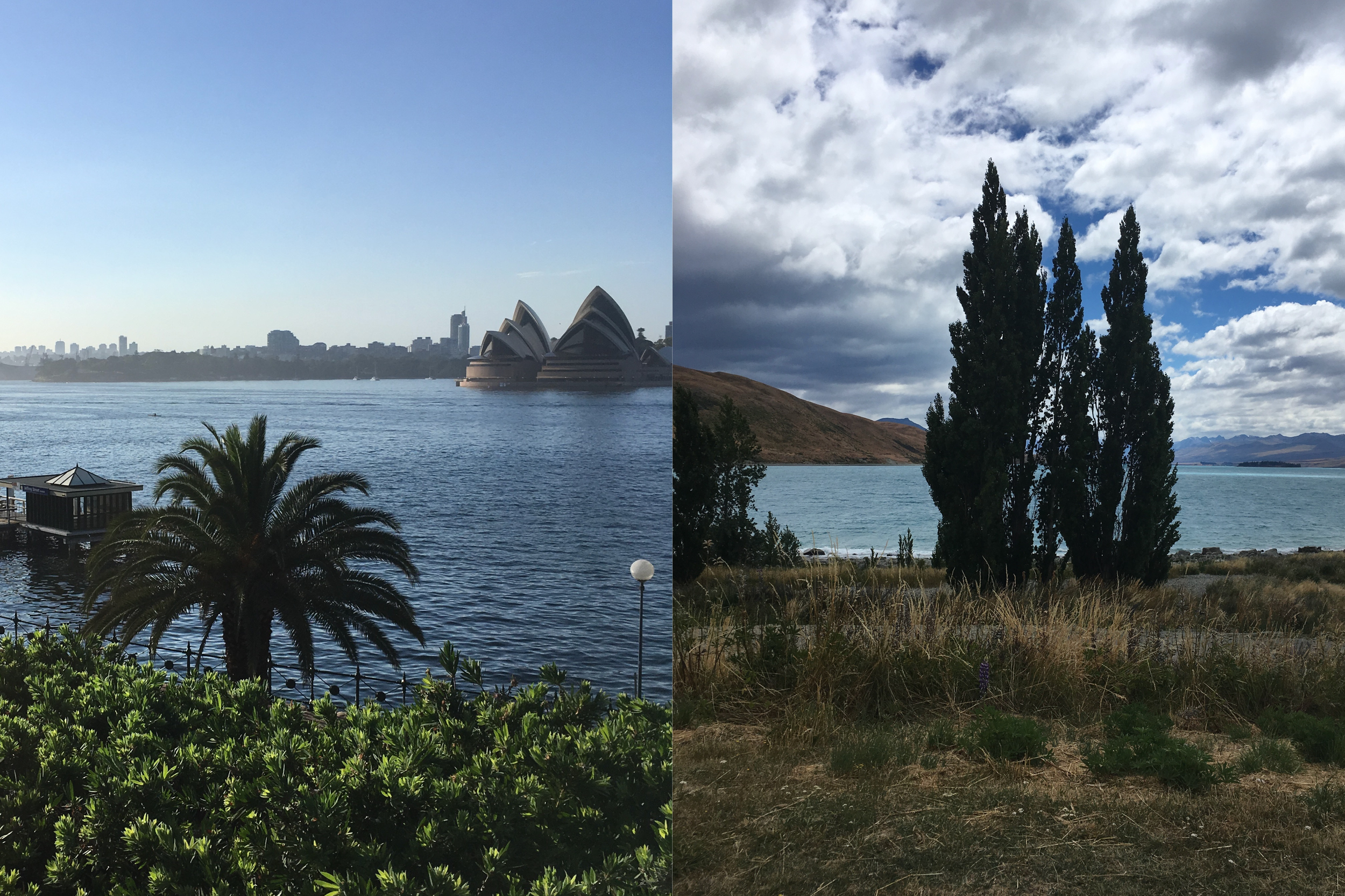 Australia vs New Zealand: Which Country Should You Visit?