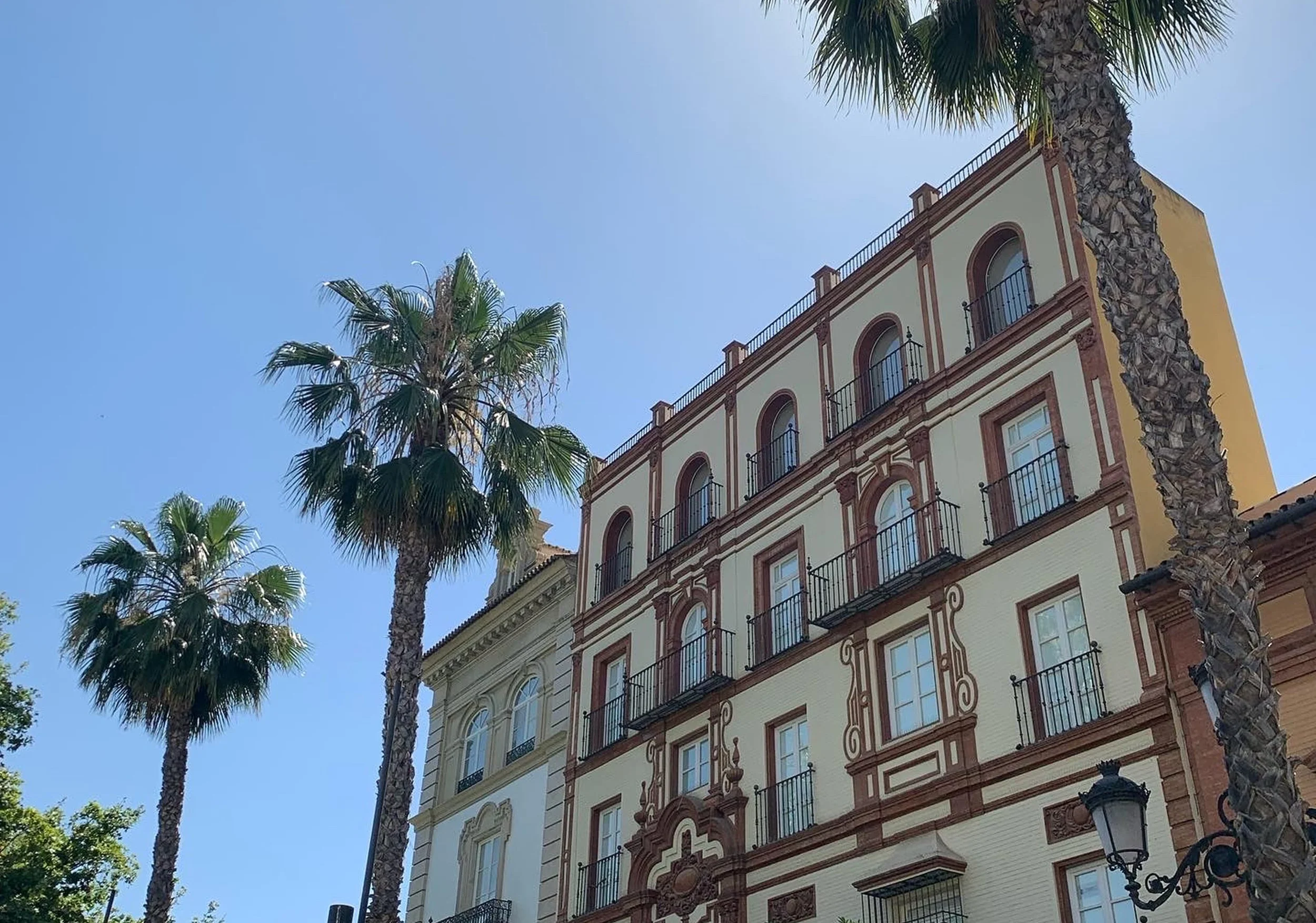 palm trees in seville  yellow and red building blue sky