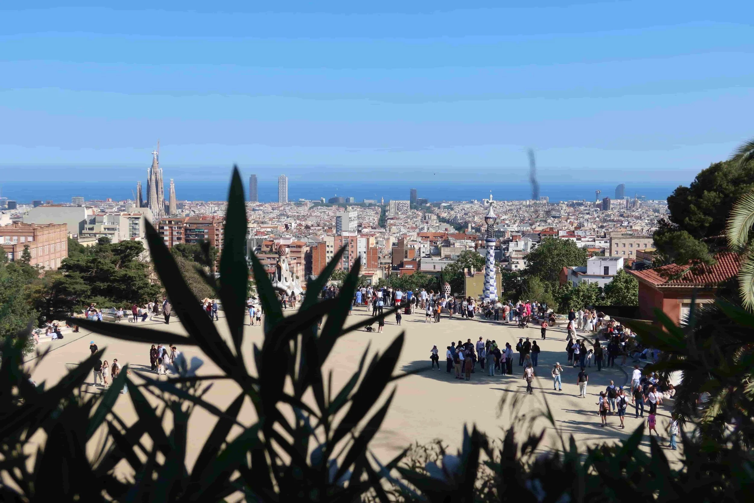 full view of parc guell trees and ocean