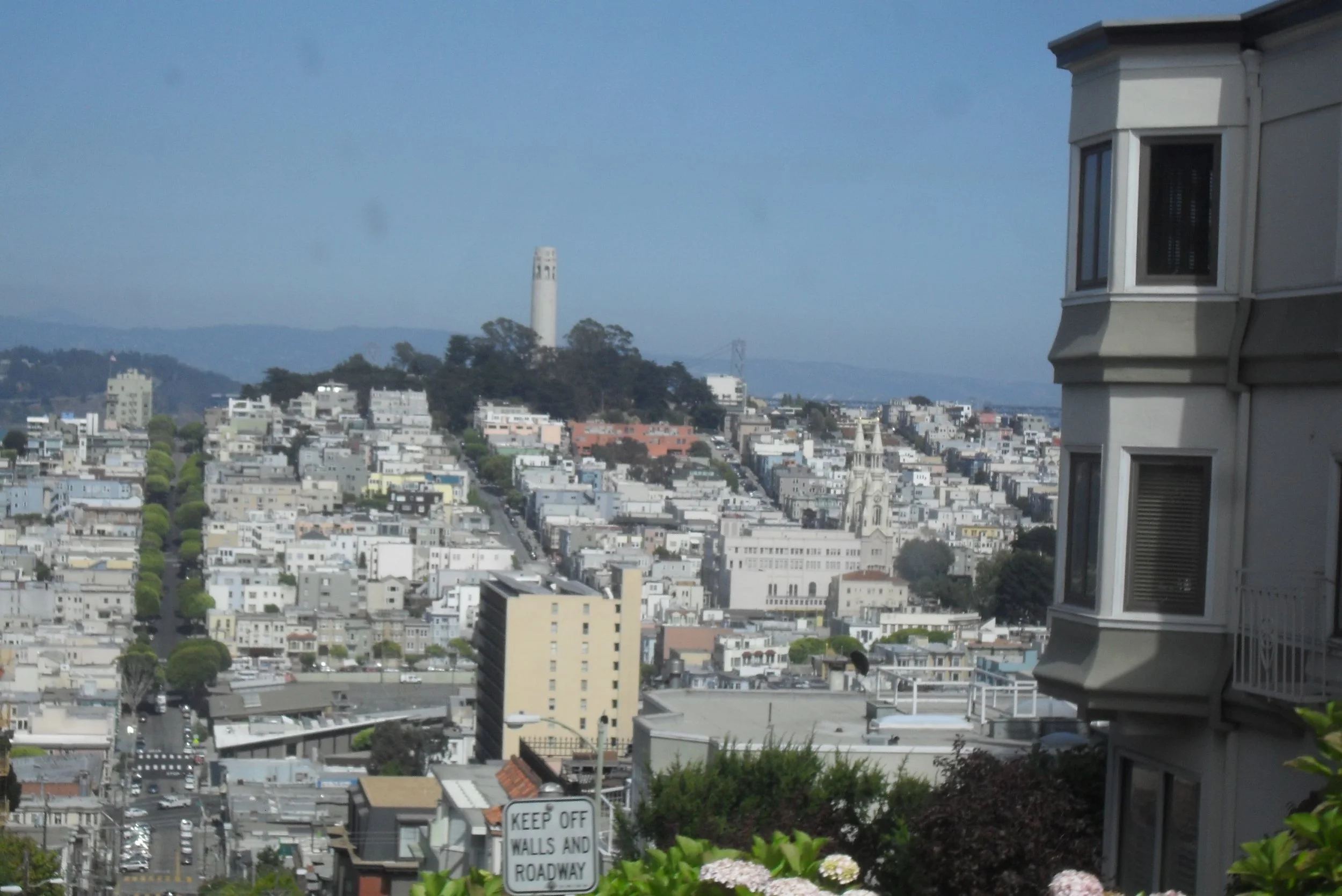 san francisco white houses