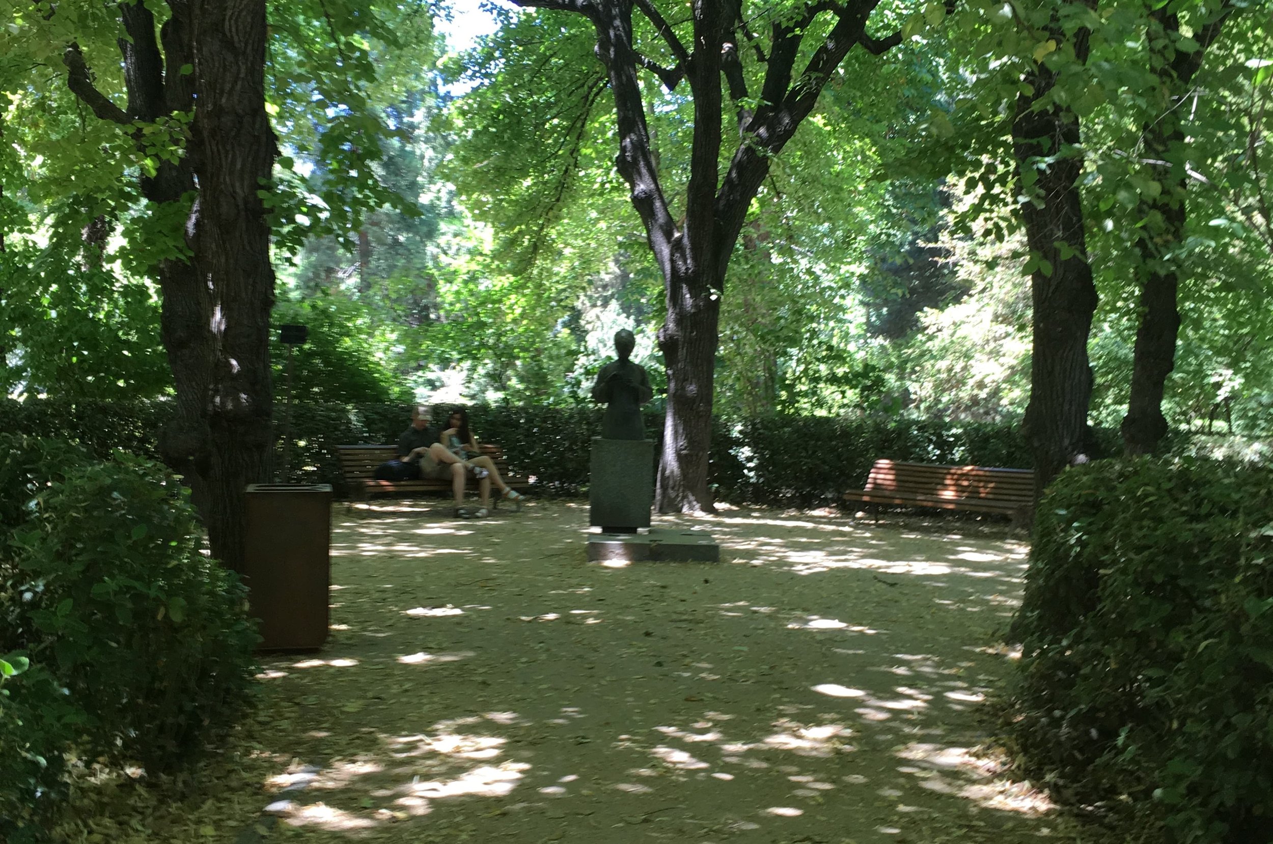 shady green park with benches
