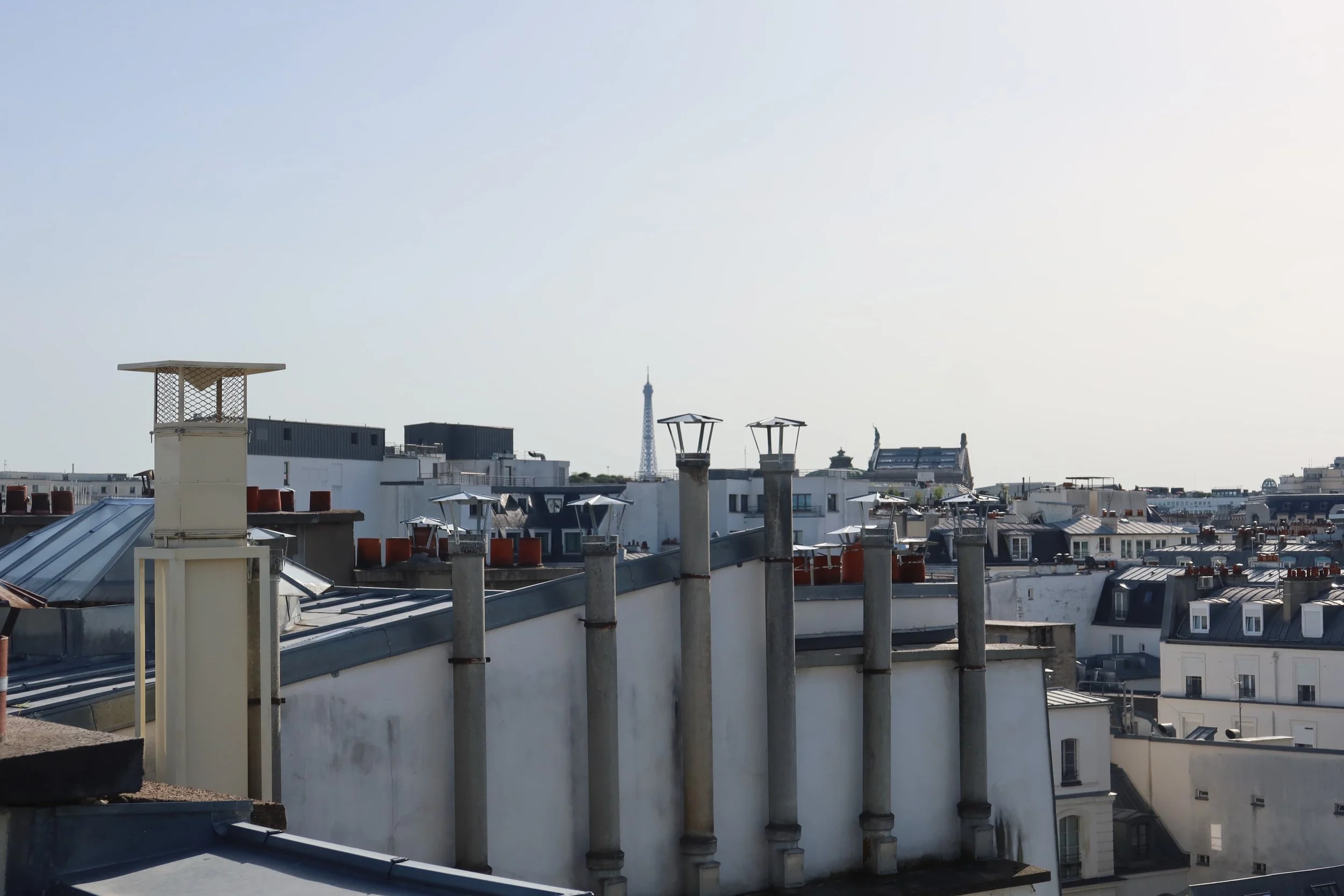 tip of eiffel tower and parisian rooftops