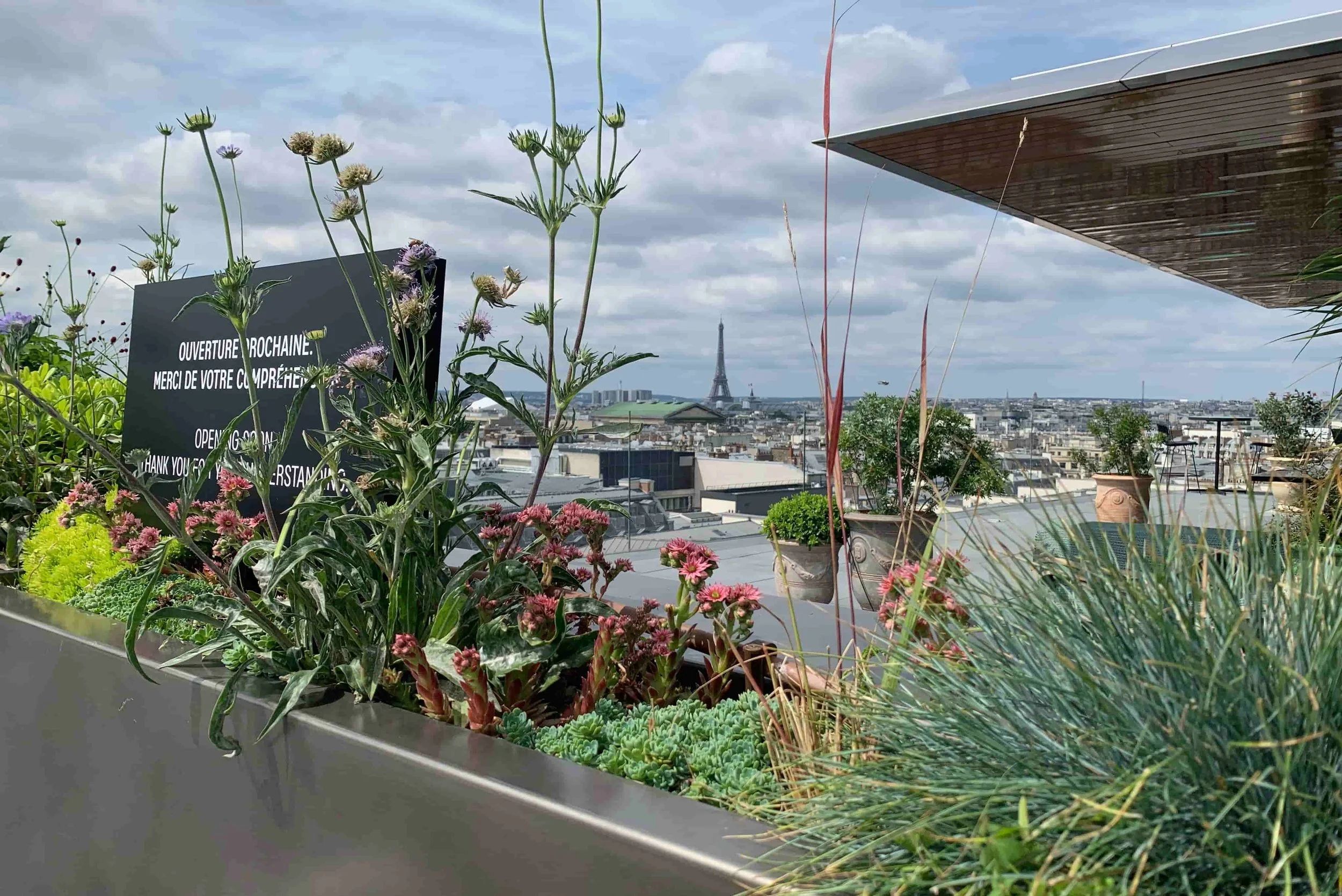 galleries lafayette eiffel tower view summer flowers