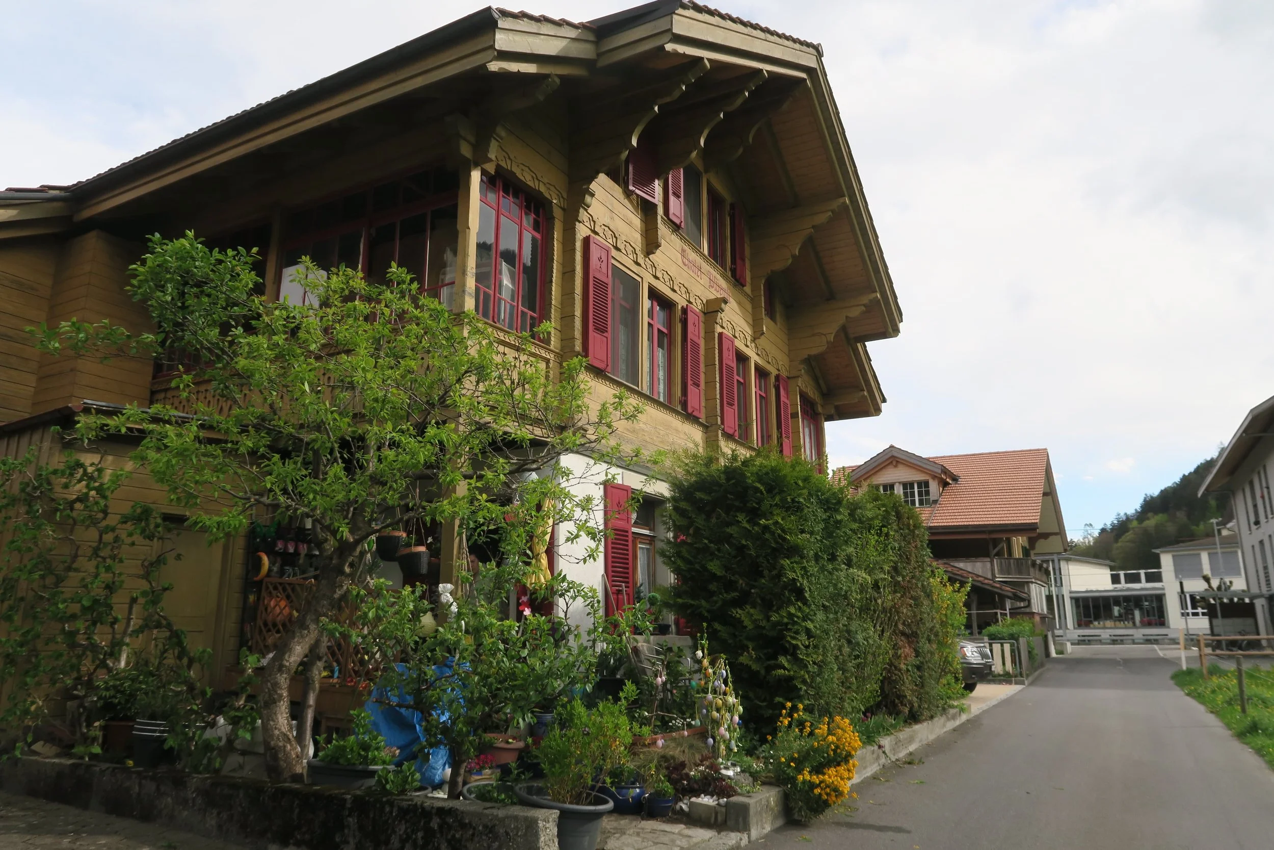 Walking in Wilderswil in Swiss Alps; April 2025