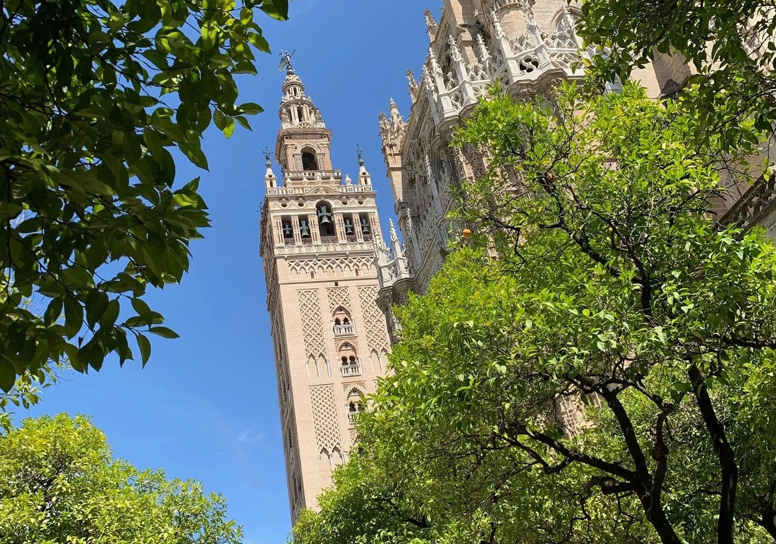 la giralda old tower and green trees