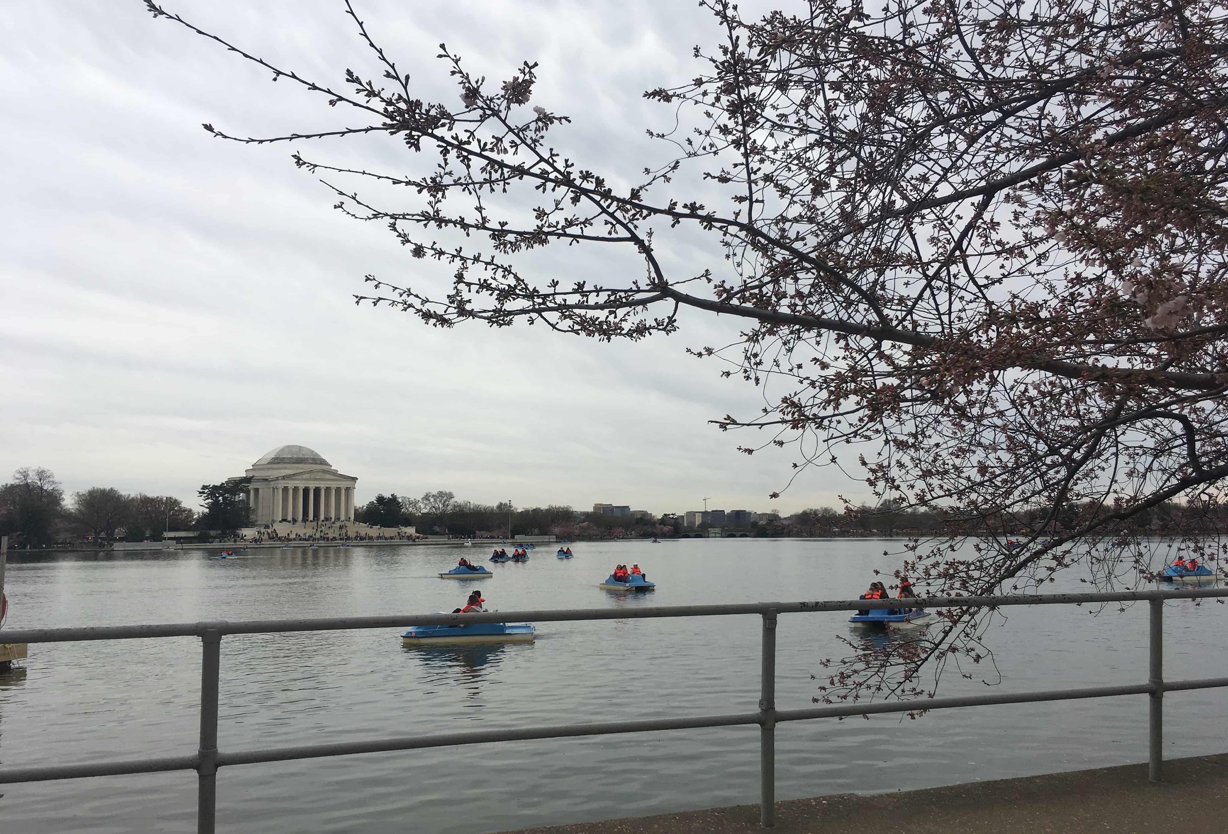 jefferson memorial cloudy sky cherry blossoms and paddle boats