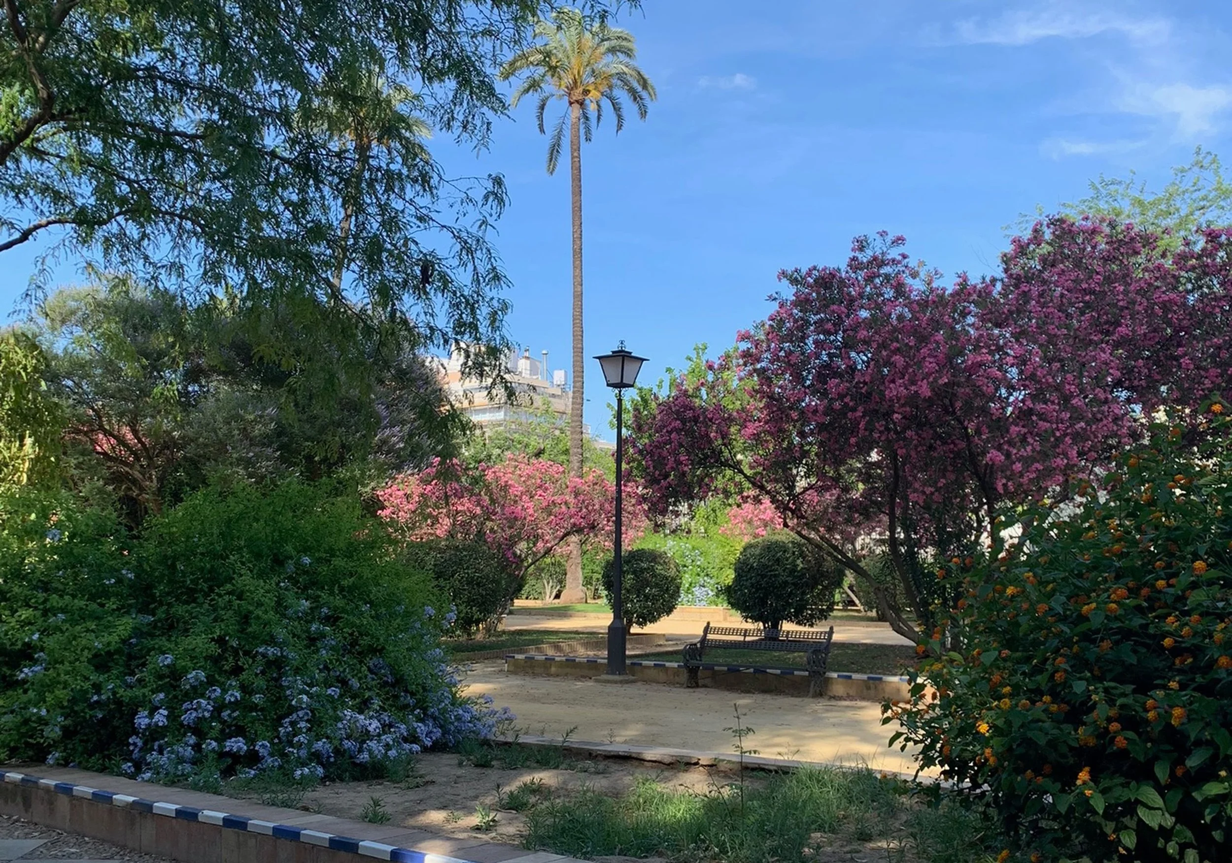 garden wth bench, lamp and pnk and blue flowers