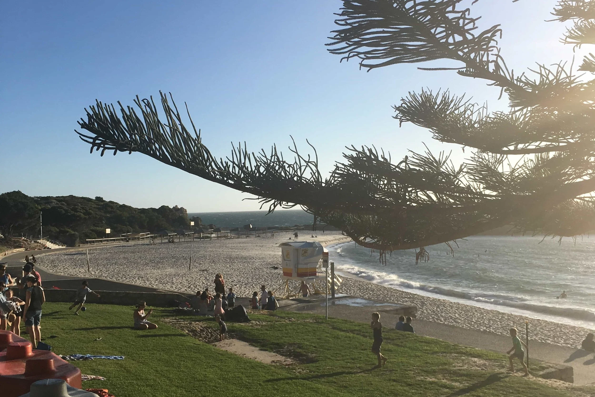 trees and sun on coastline lots of people