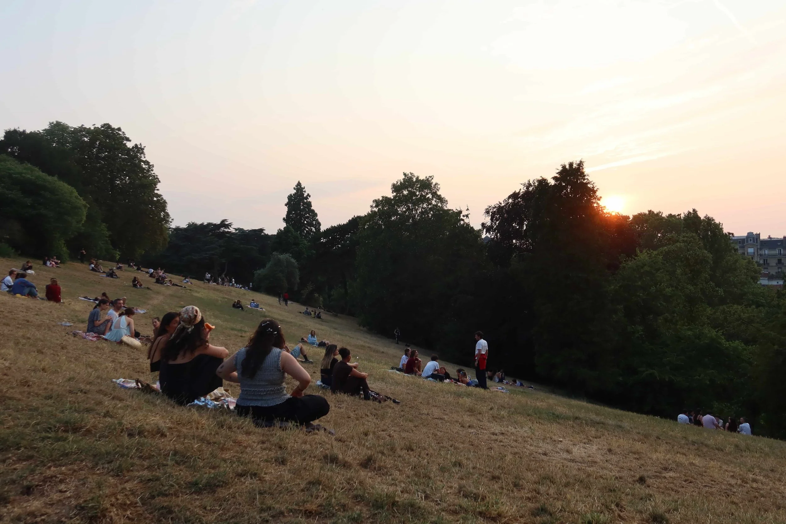 people sitting on grass hill with sunset and city view